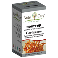 קורדיספס Cordyceps